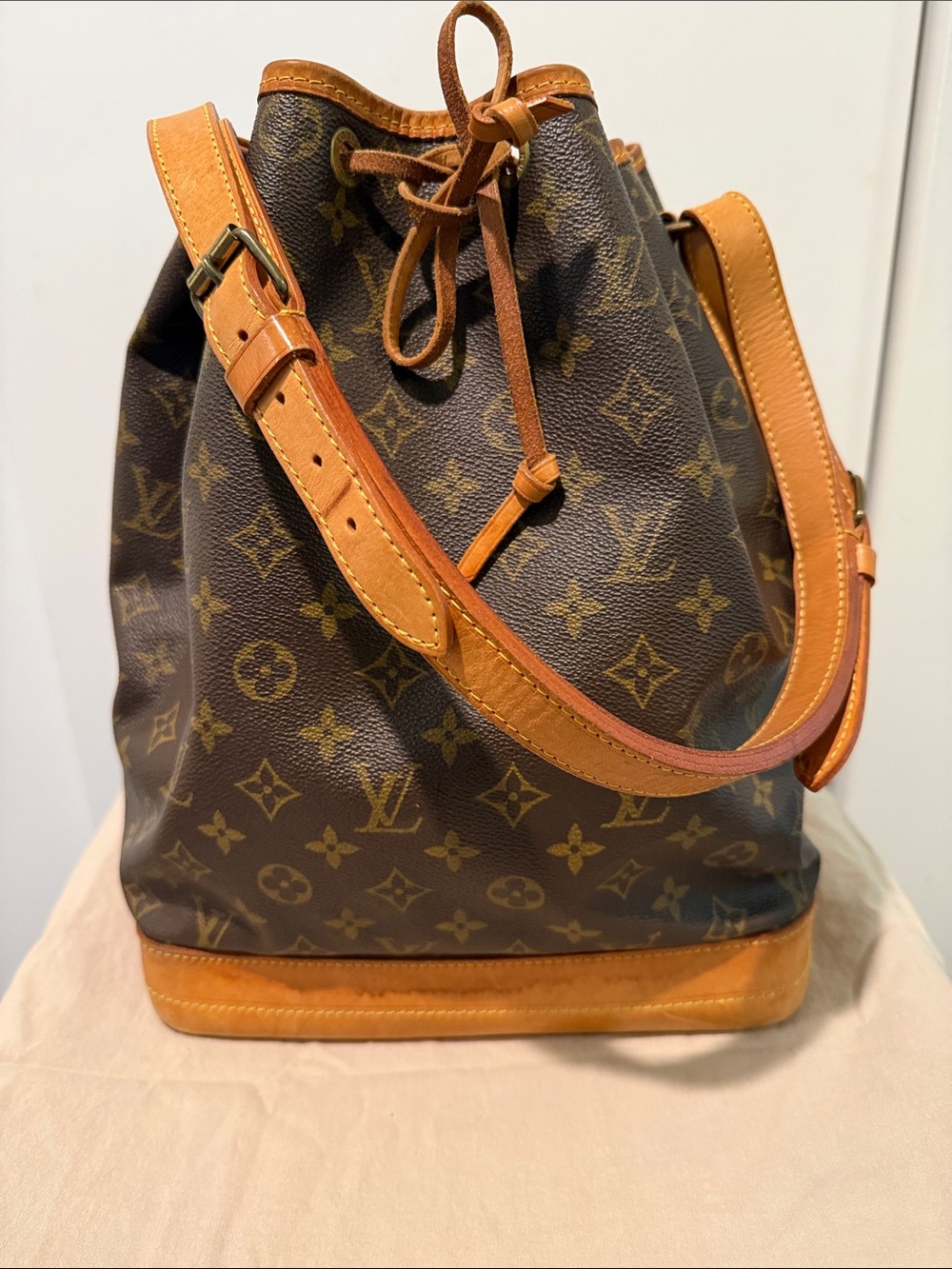 Louis Vuitton Monogram Canvas Bucket Bag with Vachetta Trim